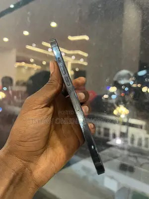 New Apple iPhone 12 Pro Max 256 GB Blue