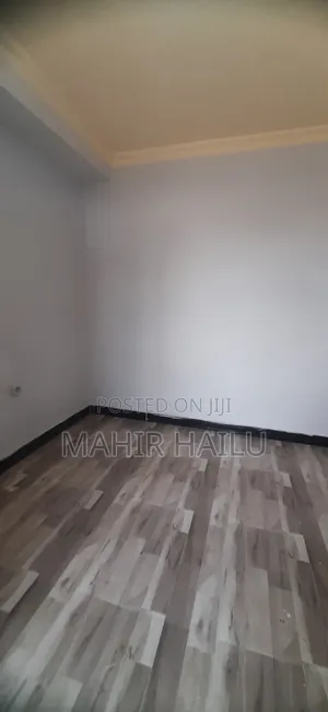 1bdrm Condo in 40/60, Bole for rent