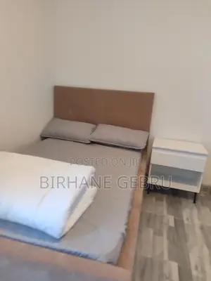 Furnished 5bdrm Apartment in Fernished Luxury, Bole for rent