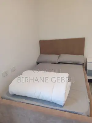 Furnished 5bdrm Apartment in Fernished Luxury, Bole for rent