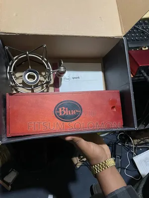 BLUE Condenser Studio Microphone