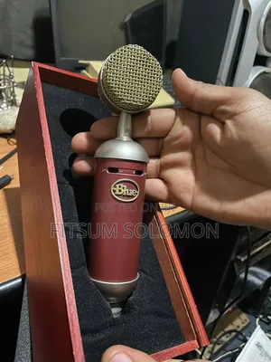 BLUE Condenser Studio Microphone