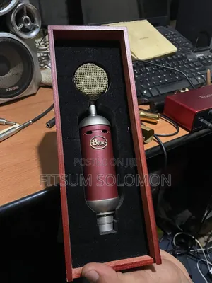 BLUE Condenser Studio Microphone