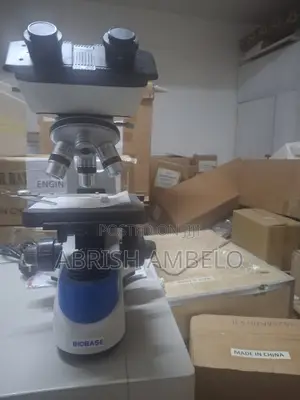 Binocular Microscopic