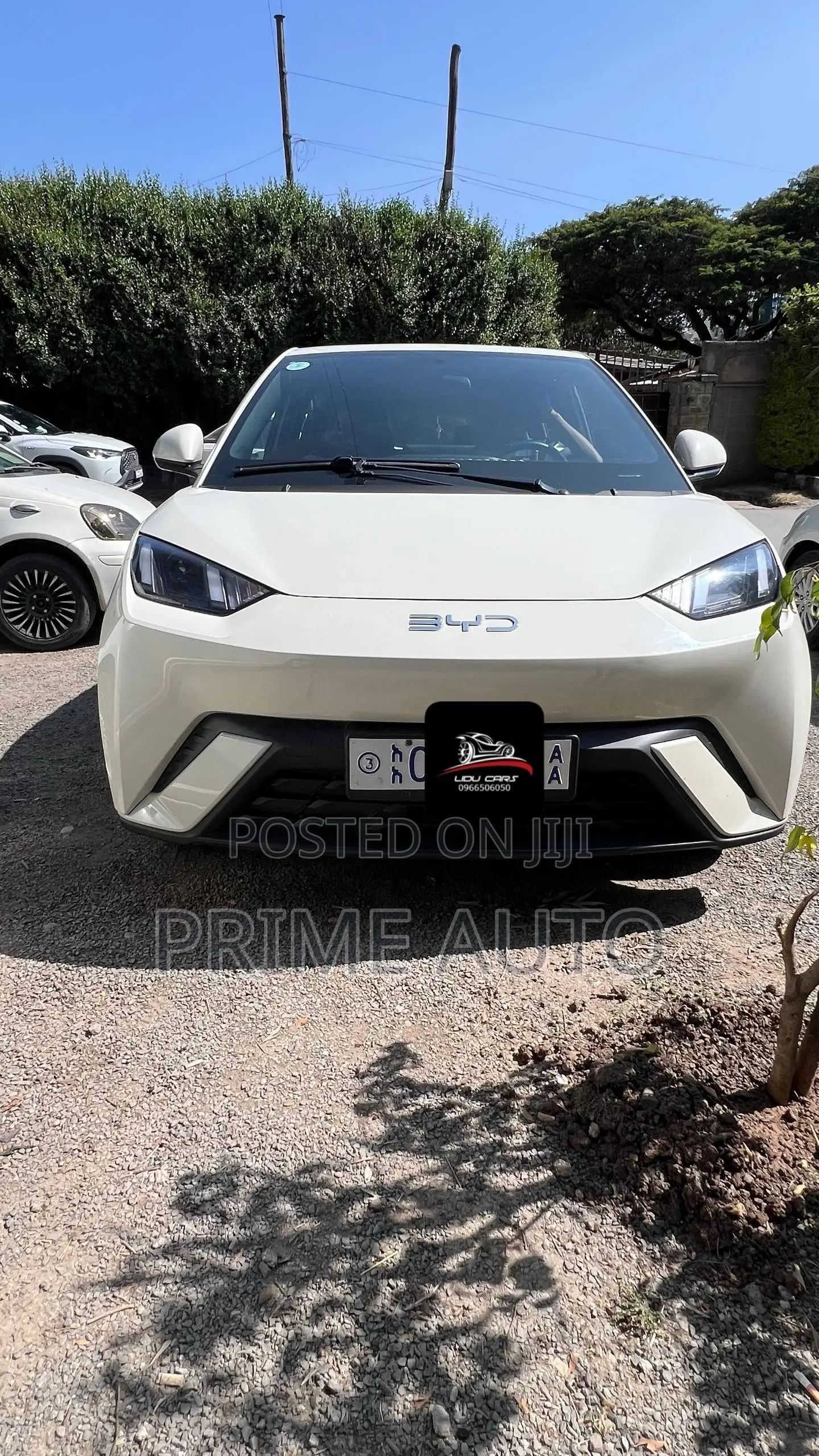 BYD Seagull 2025 White