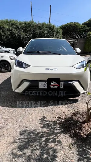 BYD Seagull 2025 White