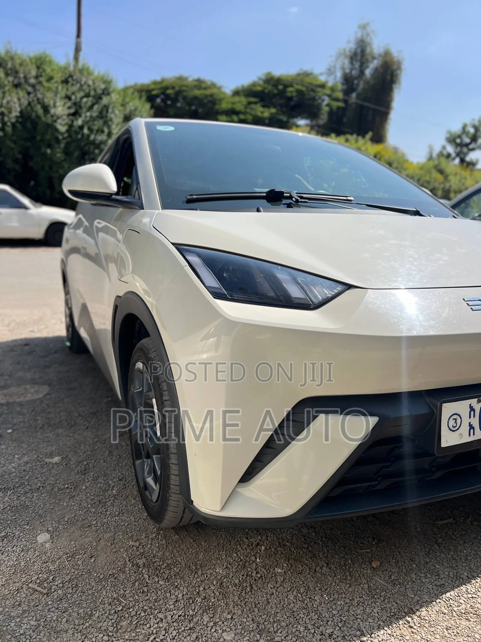 BYD Seagull 2025 White