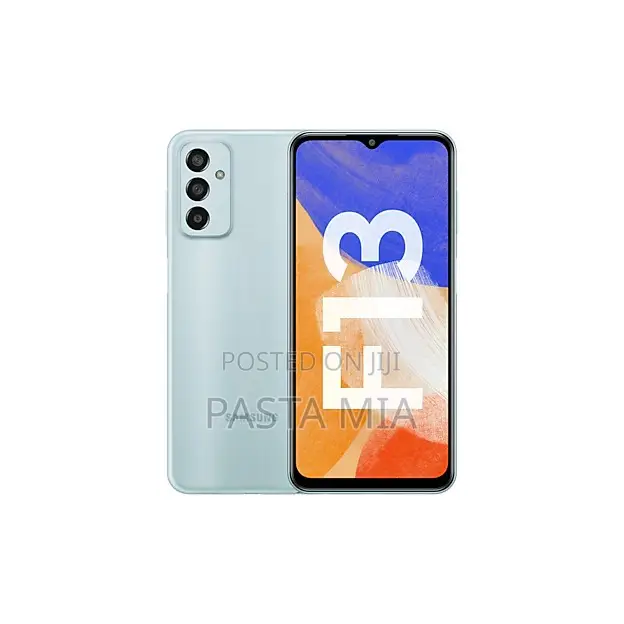Samsung Galaxy F13 64 GB Gray