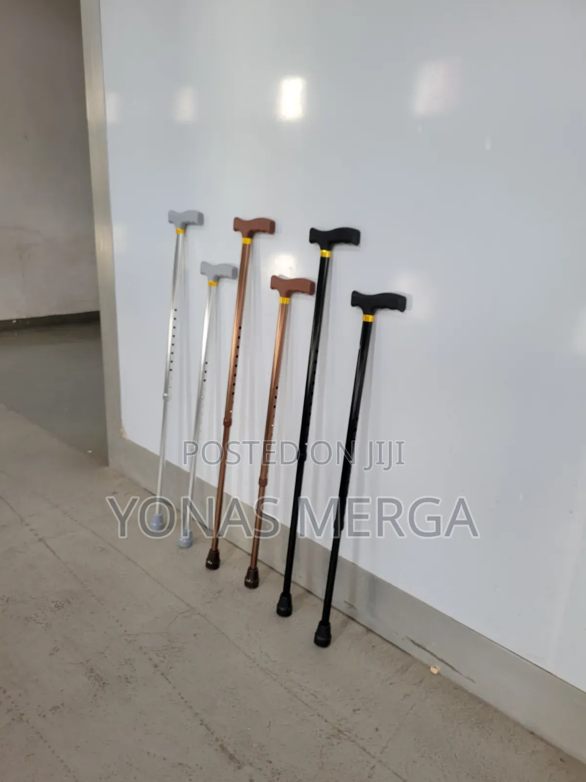 Cane for Movement烤§walking Stick劬%indoors or Enjoying the Outdoors