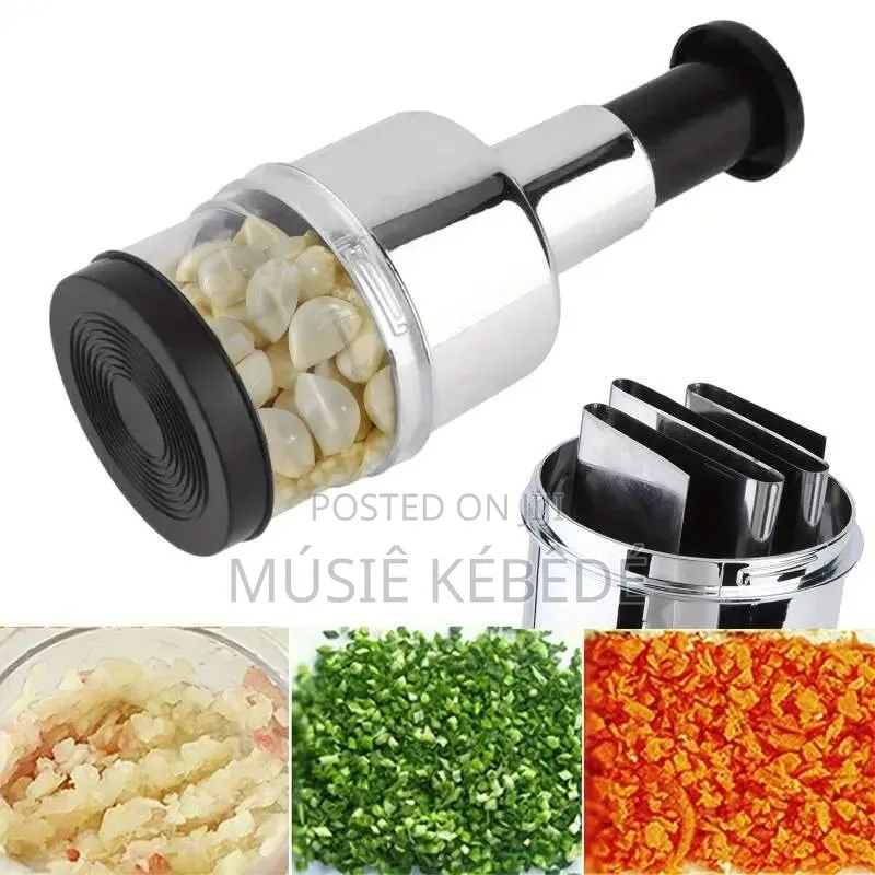 Manual Press Down Garlic and Vegetable Chopper