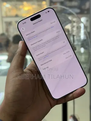 Apple iPhone 17 Pro Max 256 GB Silver