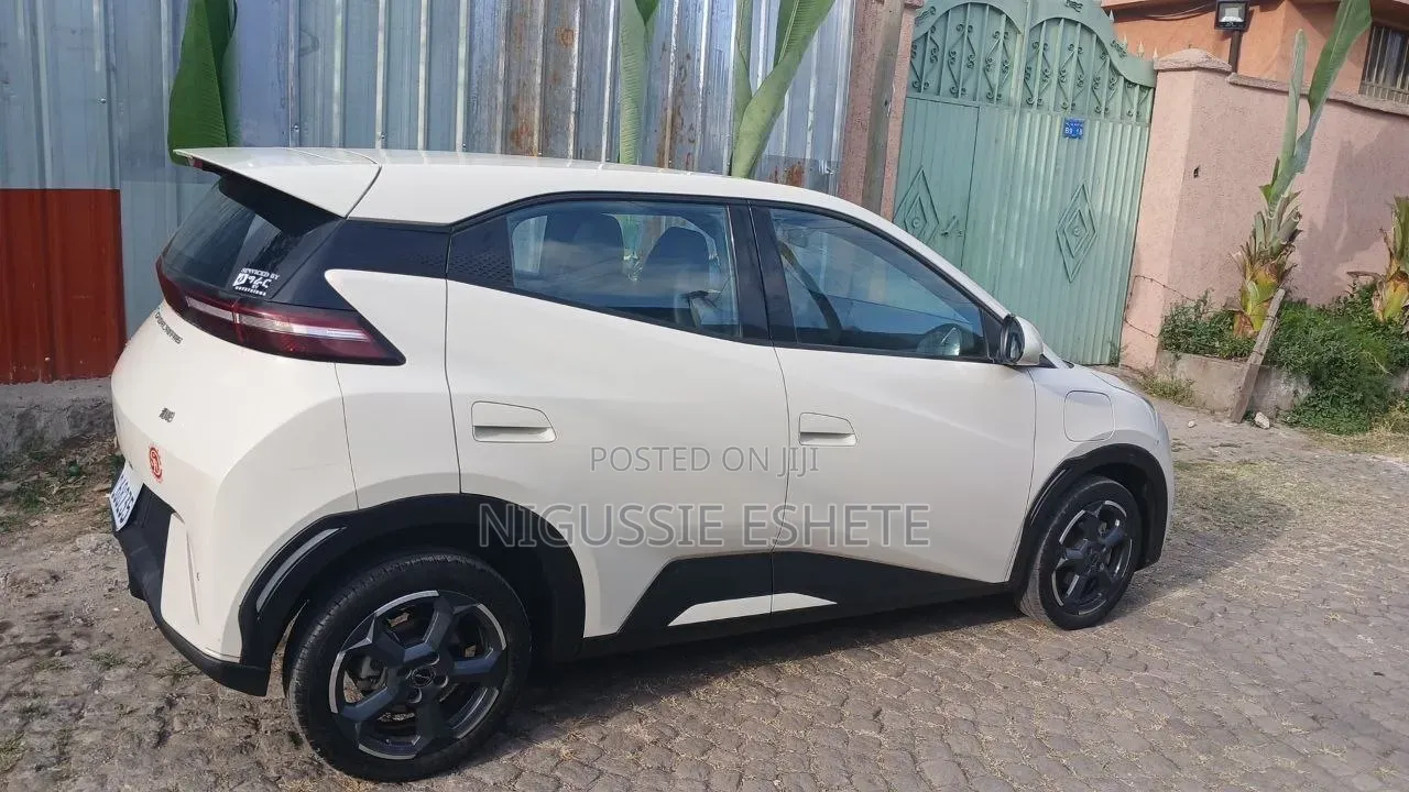 BYD Seagull 2024 White