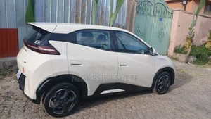 BYD Seagull 2024 White