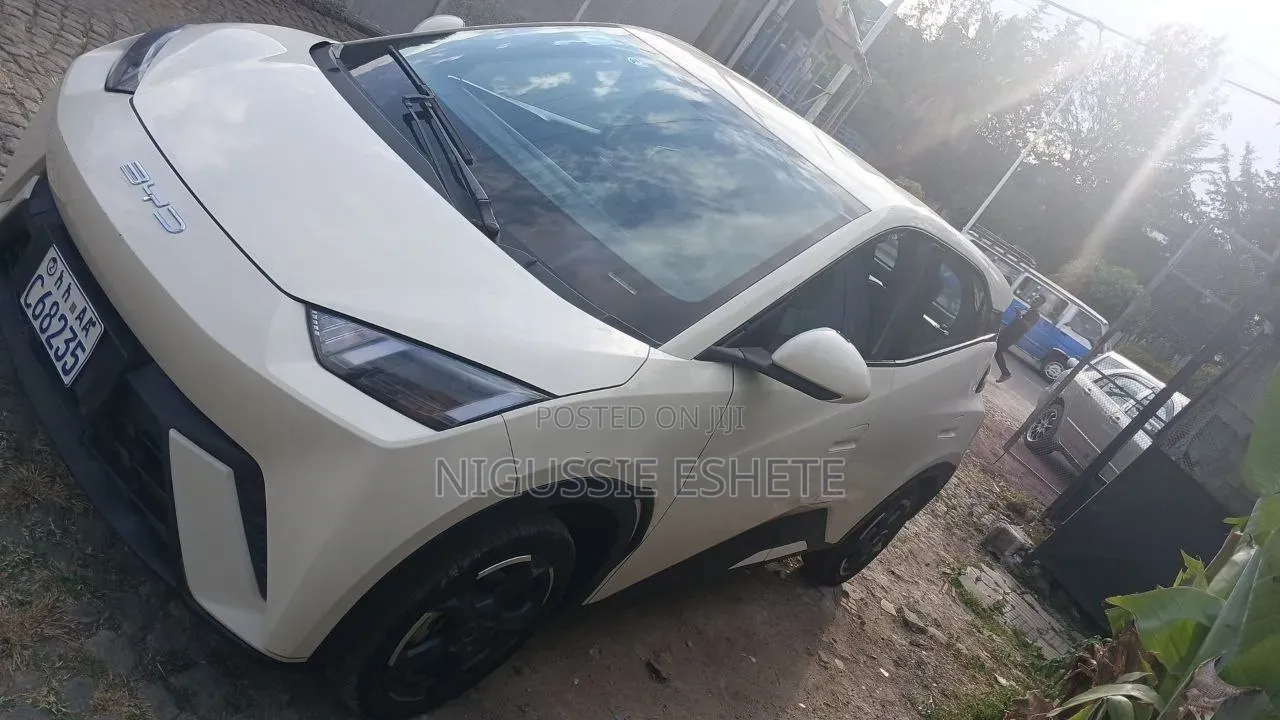 BYD Seagull 2024 White