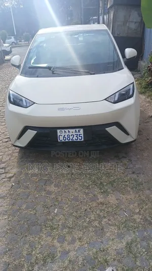 BYD Seagull 2024 White