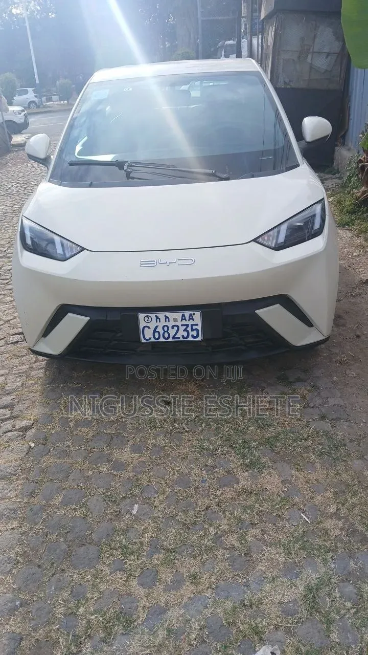 BYD Seagull 2024 White