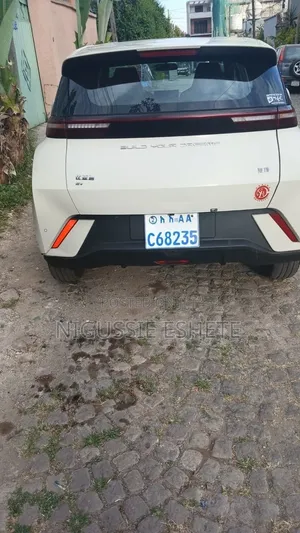 BYD Seagull 2024 White