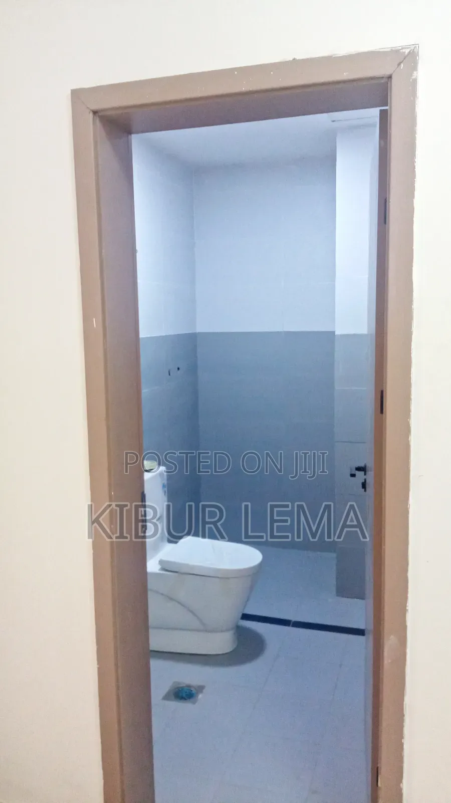 Furnished 2bdrm Apartment in ማይ ቾይዝ ሪል እስቴት My, Bole for sale
