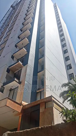Furnished 3bdrm Apartment in ማይ ቾይዝ ሪል እስቴት My, Bole for sale