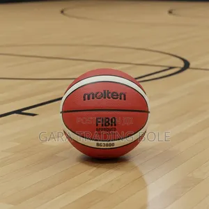 Molten Basketball New Packed