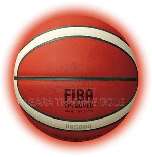 New One Basketball