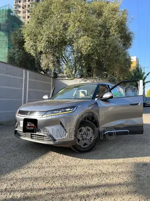 BYD Yuan Up 2025 Gray