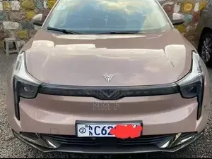Neta V 2024