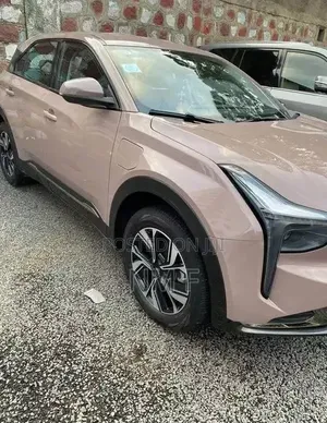 Neta V 2024