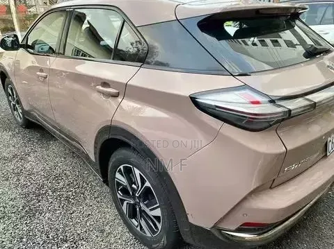 Neta V 2024