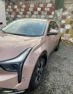 Neta V 2024