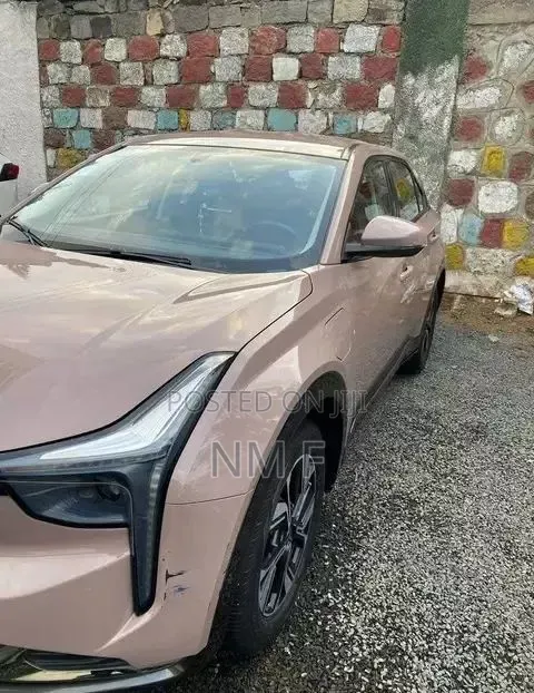 Neta V 2024