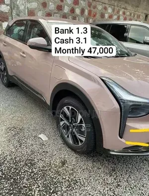 Neta V 2024