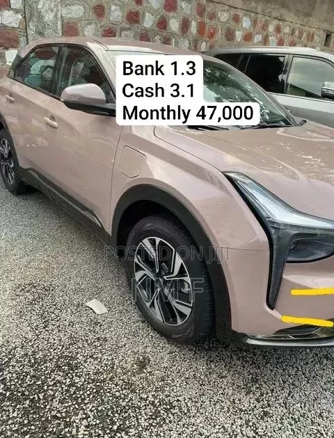 Neta V 2024