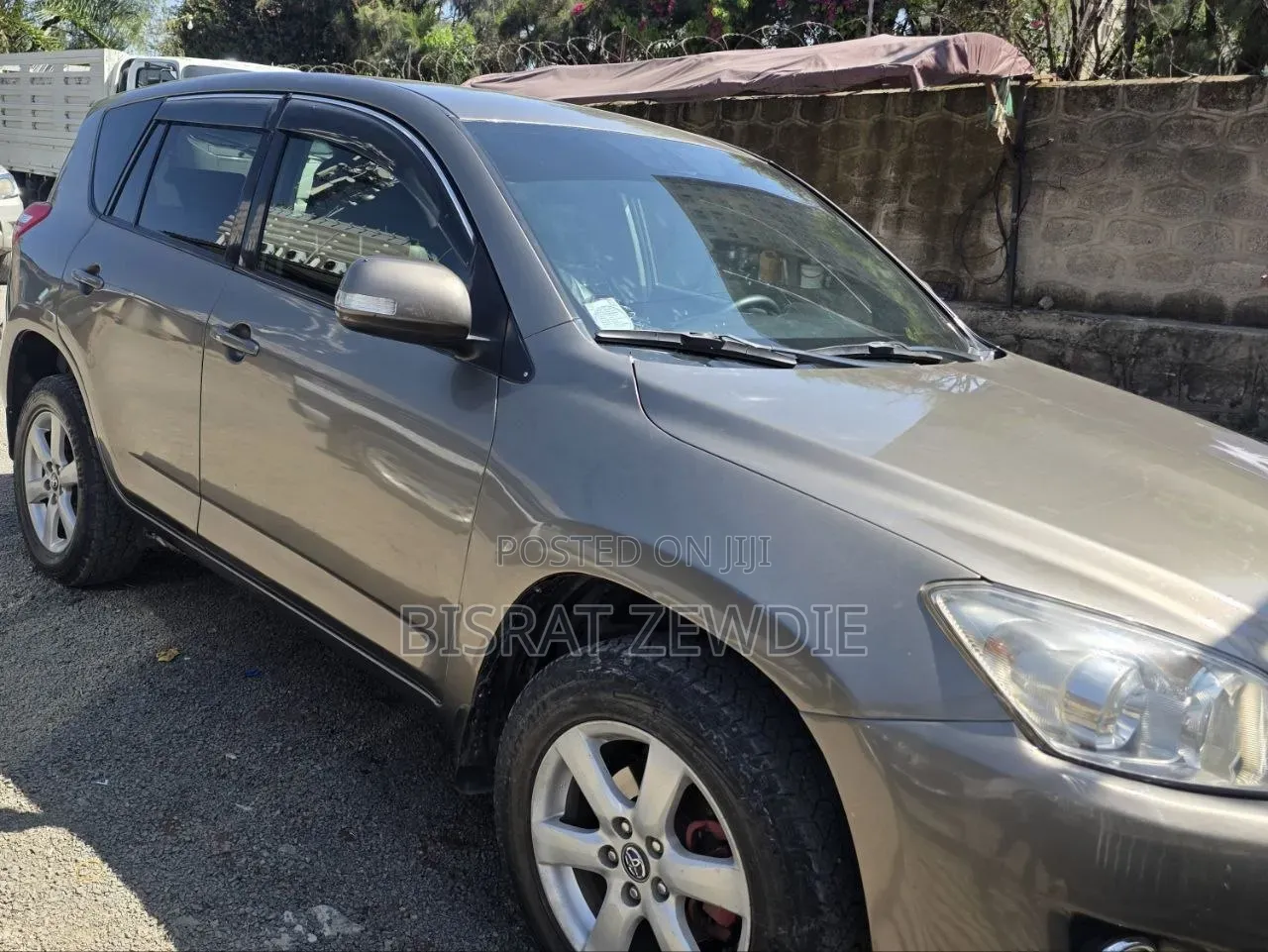 Toyota RAV4 2009 Brown