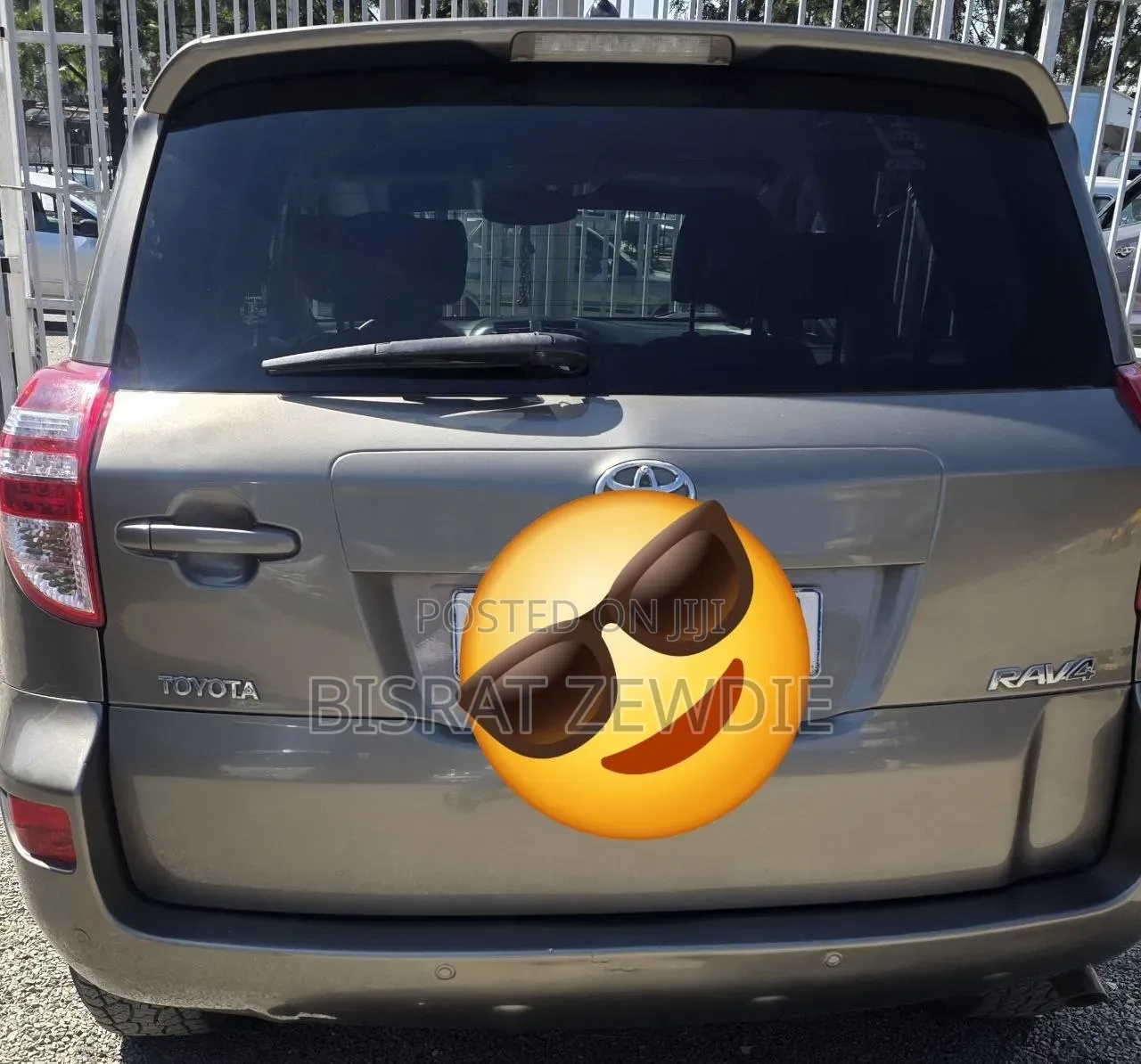 Toyota RAV4 2009 Brown
