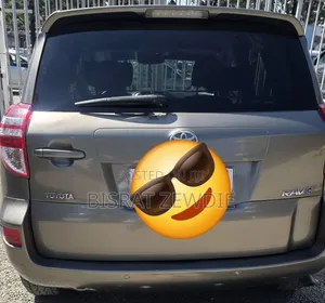 Toyota RAV4 2009 Brown