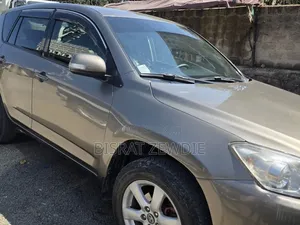 Toyota RAV4 2009 Brown