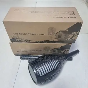 Photo - Solar Powered Flame LED Light