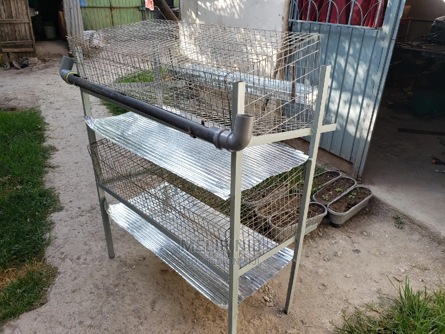 Chicken Cage የዶሮ ቤት