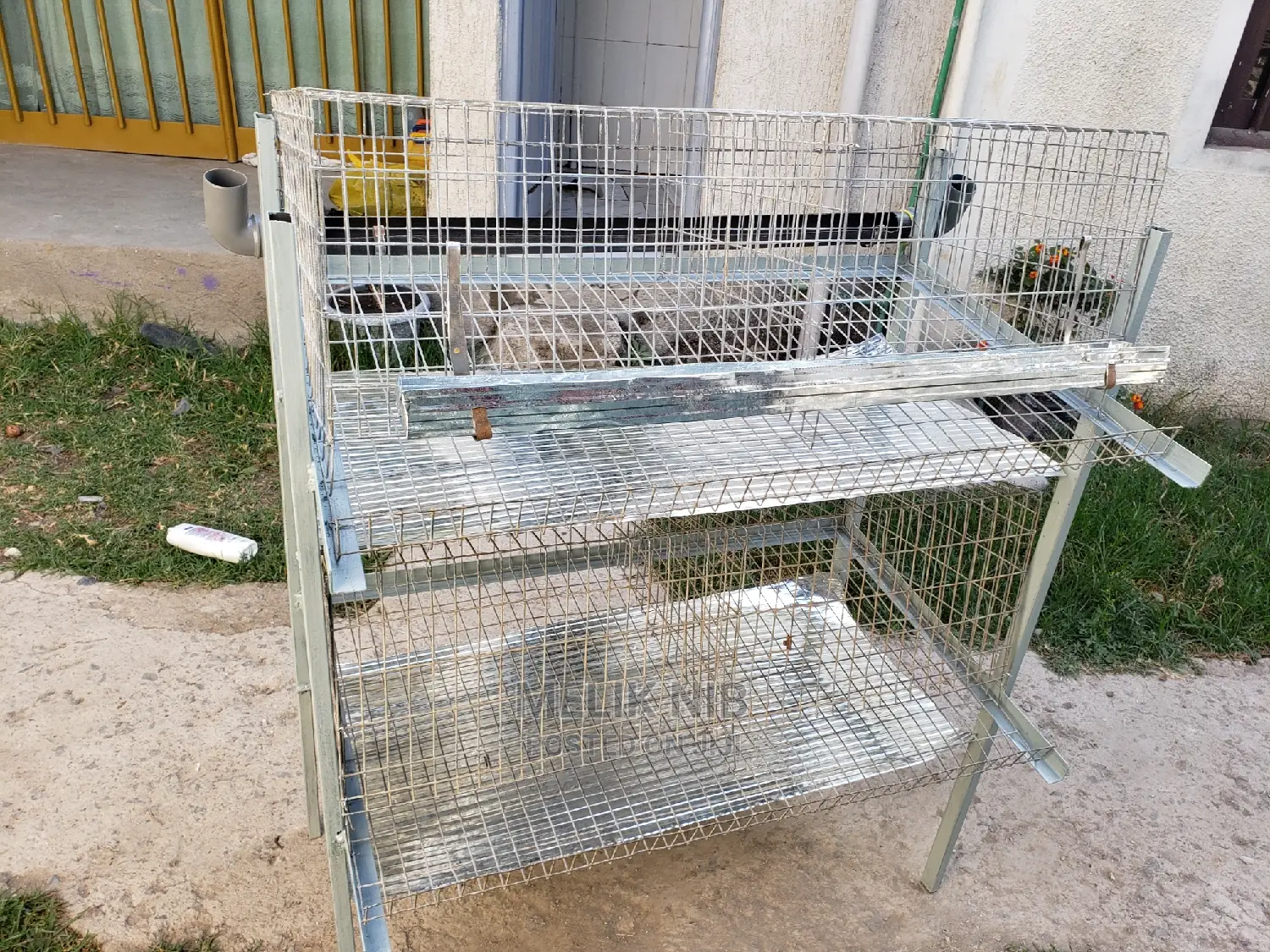 Chicken Cage የዶሮ ቤት