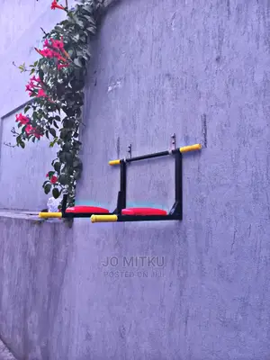 Dip Abs Pull Up Chin Up Working Bar Wall Mounted