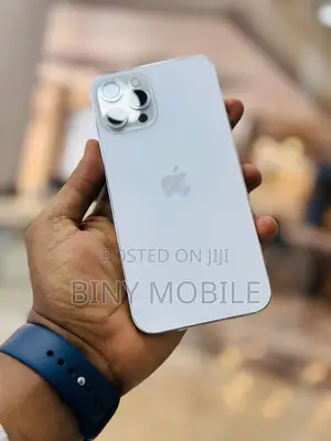 Apple iPhone 12 Pro Max 128 GB Silver