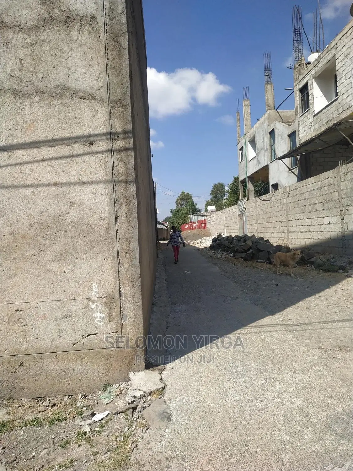 ከፍታዉ 6ሜትር ነዉ ፈለፊቱ 45 ሜትር ነዉ