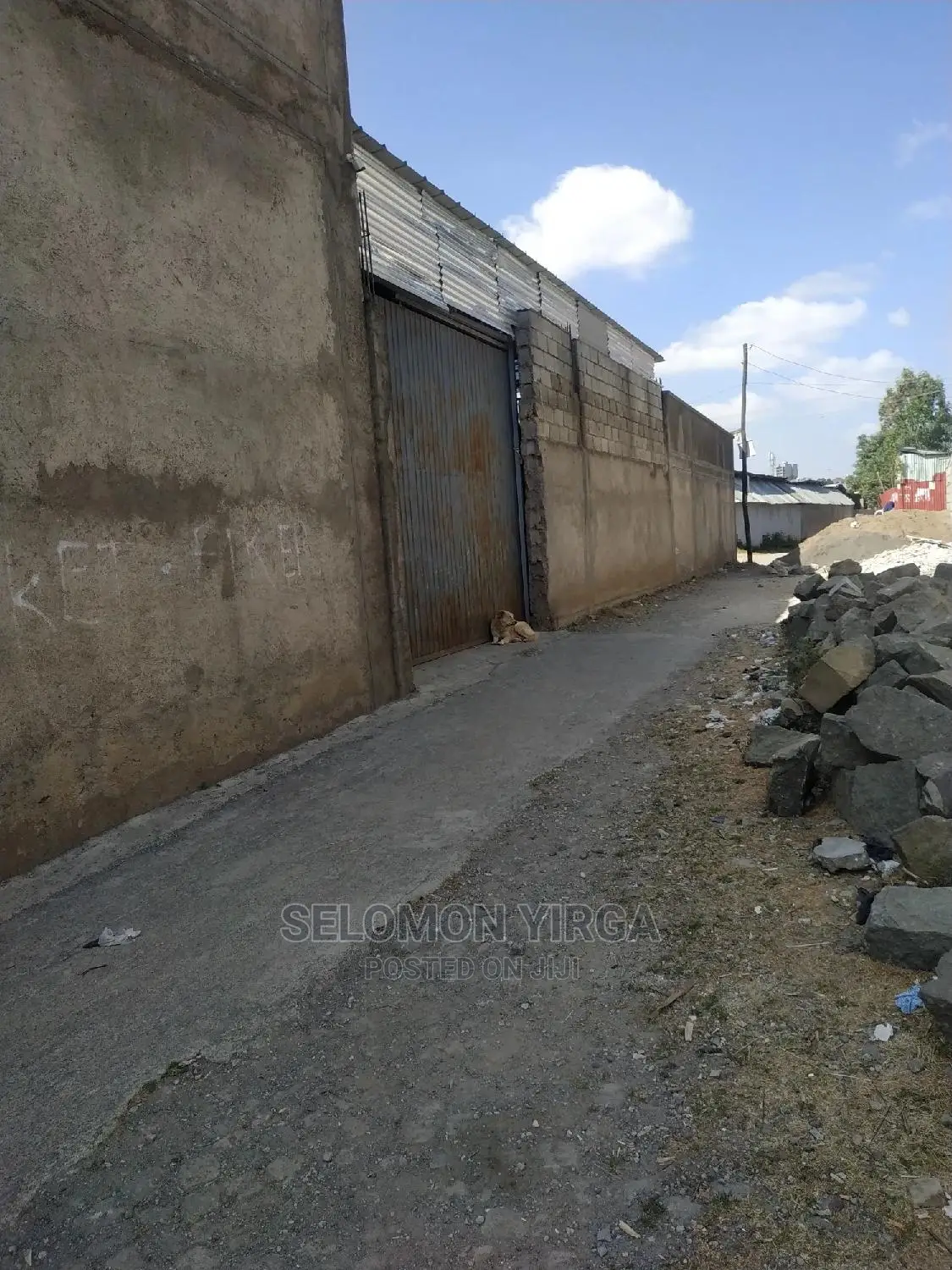 ከፍታዉ 6ሜትር ነዉ ፈለፊቱ 45 ሜትር ነዉ