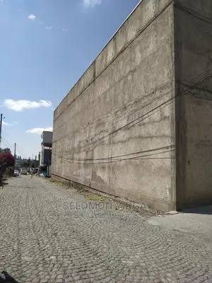 ከፍታዉ 6ሜትር ነዉ ፈለፊቱ 45 ሜትር ነዉ