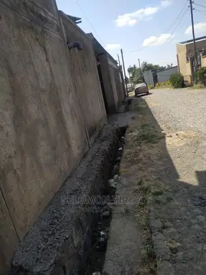 ከፍታዉ 6ሜትር ነዉ ፈለፊቱ 45 ሜትር ነዉ