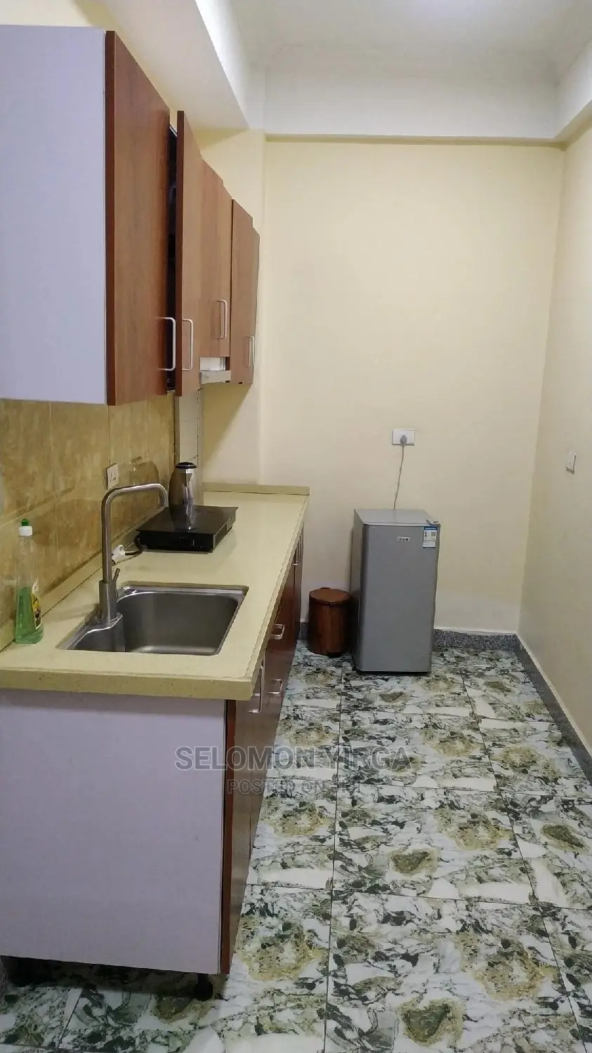 Furnished 3bdrm Apartment in Addis Abeba, Bole for rent