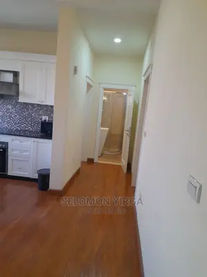 Furnished 2bdrm Apartment in አድስ አበባ, Bole for Rent