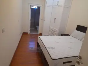 Furnished 2bdrm Apartment in አድስ አበባ, Bole for Rent