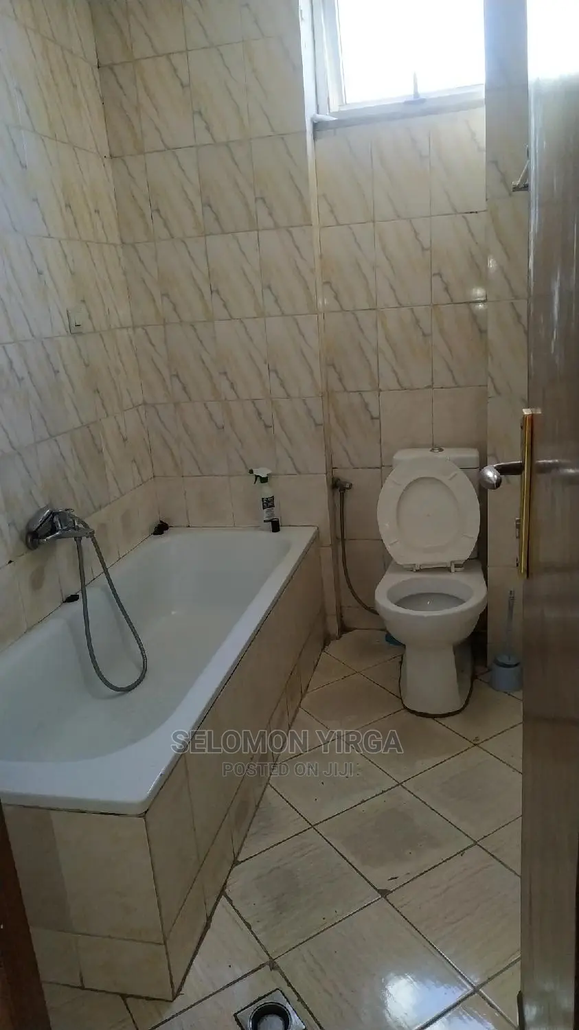 Furnished 2bdrm Apartment in አድስ አበባ, Kirkos for rent